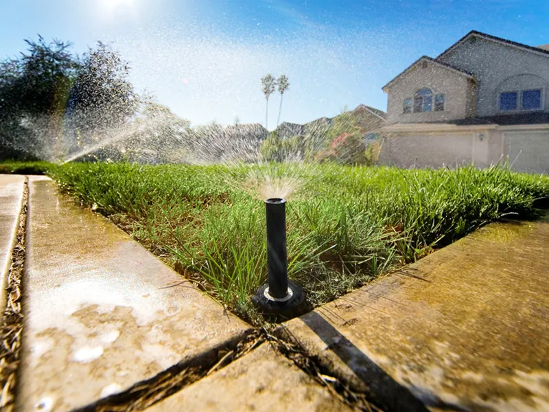 Low angle of running sprinklers in action