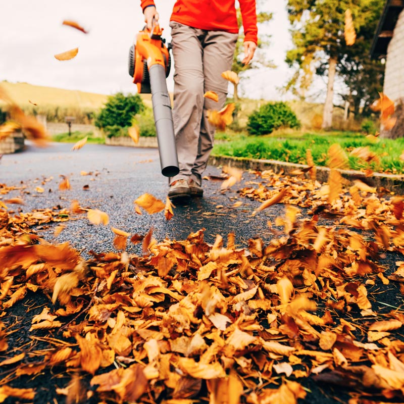 Triple-Praise-1286724923